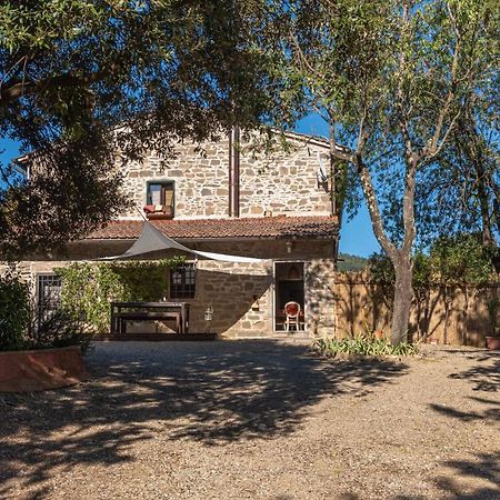 Willa Poggio Al Mandorlo Greve in Chianti Zewnętrze zdjęcie