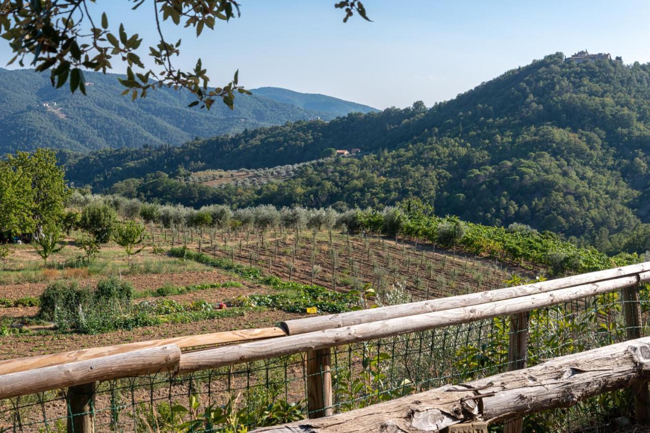 Willa Poggio Al Mandorlo Greve in Chianti Zewnętrze zdjęcie